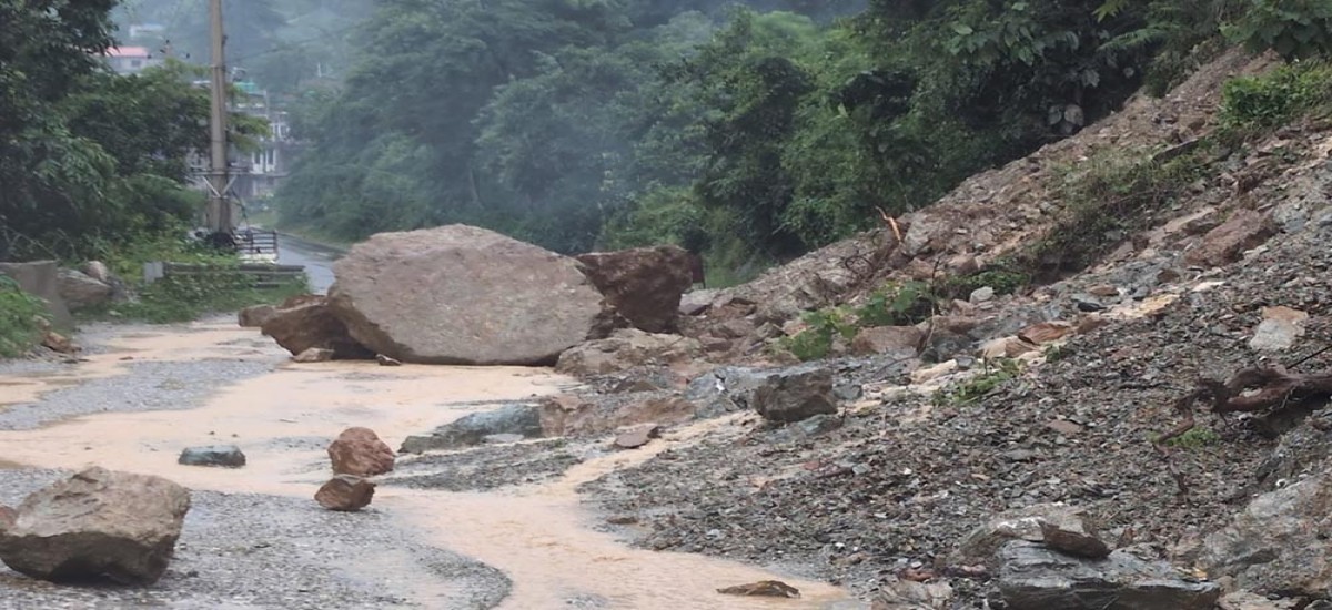 Image description